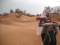 Trek Maroc